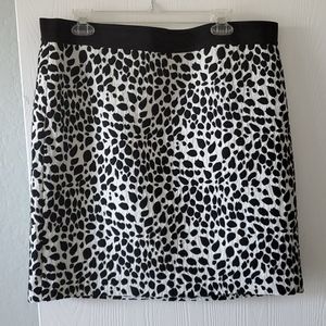 Ann Taylor Skirt
